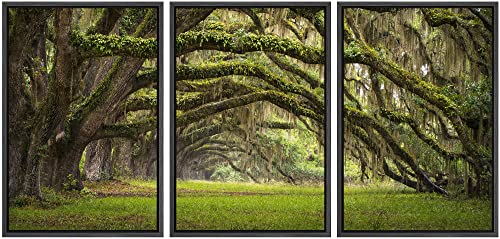 wall26 - 3 Piece Framed Canvas Wall Art - Oaks Avenue Charleston SC Plantation Live Oak Trees Forest Landscape - Modern Home Art Stretched and Framed Canvas Ready to Hang - 16"x24"x3 Black - color: Artwork - 11, size: 16" x 24" x 3 Panels BLACK