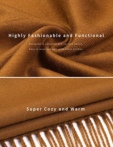 Pashmina Shawl Women Winter Scarf Warm Wedding Wraps Ladies Scarves for Evening Dresses - color: Coffee