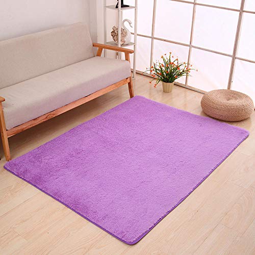 Carpet Decoration,Living Room Decoration,Can Be Used As Yoga Mat,Living Room Carpet,for Decoration Manager,Can Be Used As Kitchen Mat Ordinary Purple 70x120cm - color: Ordinary - Purple, size: 2'4" x 3'11" (Rectangular)