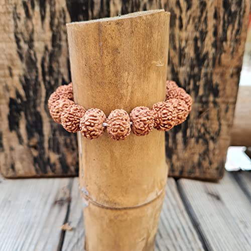 Rudraksha Bracelet for Men & Women's 2 Face, 3 Mukhi, 4 Mukhi, 5 Face, 6 Mukhi, 7 Mukhi, 8 Mukhi, 9 Mukhi, 10 Mukhi, 11 Mukhi Himalayan Rudraksha Beads Wrist Band for Yoga, Meditation, Healing - style: 7 Mukhi - Seven Faced