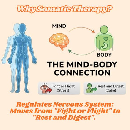 Somatic Therapy Cards for Kids, 52 Mindfulness & Emotional Regulation Activities for Calm, Focus, Coping Skills - Social Emotional Learning Tools for Parents, Therapists, Ages 6–12, Calm Down Corner
