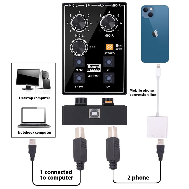 CH02 ASMR Sleep Aid Hoping Sound Control Instruments Left and Right Binaural Sound Card Immersive Recording for ASMR Live, Eat, Recording, Interview, Musical Instruments and More
