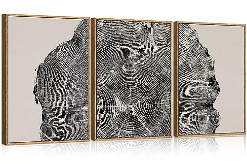 CHDITB Framed Wood Tree Rings Wall Art Set, 16x24in Black and White Canvas Art Wall Decor, Abstract Nature Wall Pictures Prints, Modern Paintings Wall Art for Living Room, Bedroom, Farmhouse(3Pcs) - color: Black Tree Ring, size: 16"L x 24"W