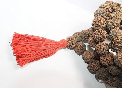 Rudraksh Mala, Natural Himalayan Genuine Original Rudraksha Rosary - style: 3 FaceRudraksh mala 34 Beads 15-20mm