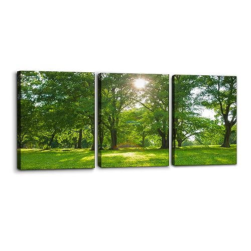 Pacimo Landscape Wall Art Set of 3 - Sunlight Green Forest Trees Nature Wilderness - Perfect for Modern Home Decor - Ideal Wall Decor for Living Room Bedroom Bathroom and Office (12"x16"x3) - color: Wallart-02, size: 12" x 16" x 3 panels