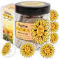 Positive Sunflower Jar, Sunflower Gifts For Women, Christian Gifts for Women, Christian Graduation Gift - style: Positive Sunflower Jar