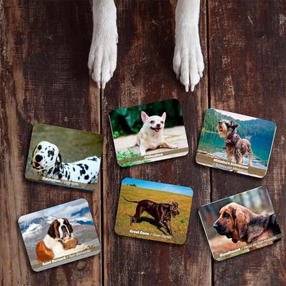Menique – Dogs Memory Matching Game – Bilingual – 80 Cards (40 Pairs) with Real Photographs – Educational Game for Kids and Adults - style: Dogs