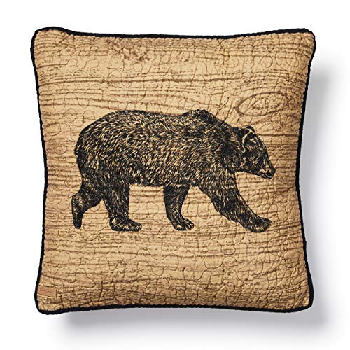 Donna Sharp Oakland Cotton Decorative Throw Pillow - Pillows for Couch, Sofa, Beds, and Chairs - Includes 18" x 18" Square Pillow - color: Oakland