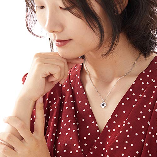 Zealmer Dainty 18K Gold Plated Compass World Map Pendant Necklace Graduation Gift for Friends - style: 2pcs Worldmap Gold & Silver