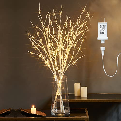 Fudios Lighted Branches 150 LED Fairy Lights with Timer 32in Plug in, Electric Lit White Birch Twigs for Vase Christmas Inside Outside Decor 1 Set - color: 150led-birch-plug-in, size: 32in-1 set