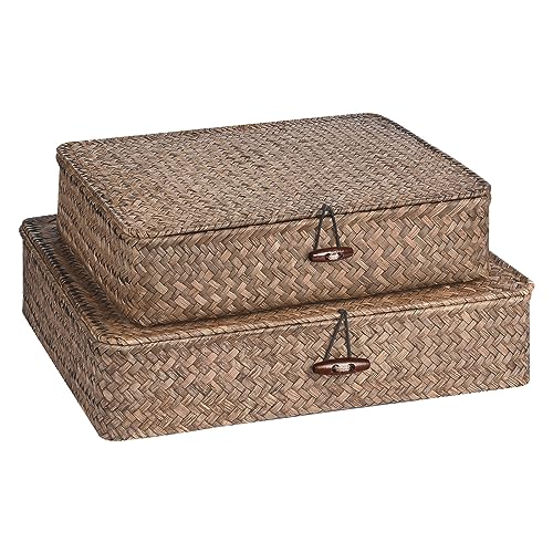 Set of 2 Flat Seagrass Storage Bins with Lid Wicker Storage Baskets for Organizing, Woven Shelf Organizer Bins Home Utility Organizer Box for Home & Office Supplies(Coffee) - color: Coffee