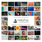 metaFox - 52 Inspirational Cards, Positive Affirmations & Motivational Postcards, Picture Cards For Coaching & Therapy, Mindfulness, Original Motivational Deck - color: English