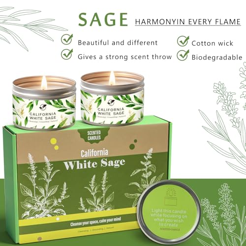 Sage Candles Gift Set, 6-Pack 6oz Natural Soy Wax Aromatherapy Candles, Clean Burn & Lead-Free Cotton Wicks, Calming Scents for Spiritual Meditation, Housewarming Birthday Self Care Gifts for Women - style: Sage Candles - 6 Pack