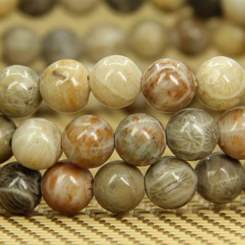 Angelstones Handmade Natural Healing Gemstone 6mm Round Beads Stretch Crystal Bracelet 7 Inch Unisex - color: Coral Fossil