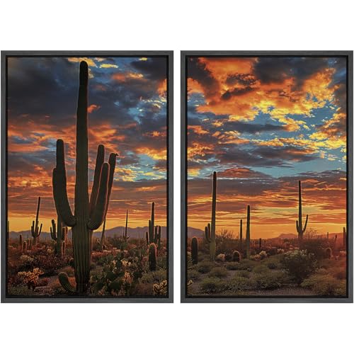 SIGNWIN Framed Wall Art Print Set Desert Sunset Cactus Landscape Photography Modern Art Rustic Relax/Calm Multicolor for Living Room, Bedroom, Office - 16"x24"x2 BLACK - color: A08-2604-B01, size: 16"x24"x2 Panels Black