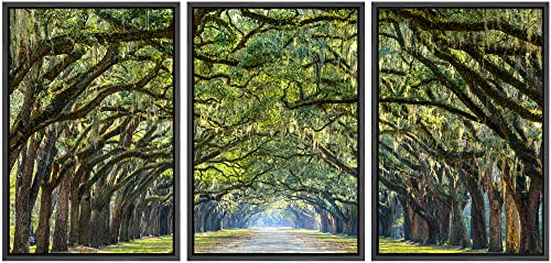 wall26 Framed Canvas Print Wall Art Set Path Through The Hanging Tree Archway Nature Wilderness Photography Realism Contemporary Colorful Ultra for Living Room, Bedroom, Office - 16"x24"x3 Black - color: 17. Path Under an Arc of Trees, size: 16" x 24" x 3