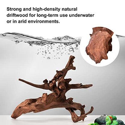 majoywoo Natural Large Driftwood for Aquarium Decor Reptile Decor, Fewer Branches 12.5-18" 2Pcs - size: Mopani Driftwood 12.5 to 18 Inch (Pack of 2)