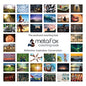 metaFox - 52 Inspirational, Positive Affirmations & Motivational Postcards, Picture Cards For Life Coaching, Therapy, & Personal Advice, Mindfulness, Coaching, Life Design Cards