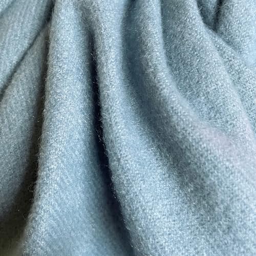 Rodaruus Women's Scarf Solid Color Shawl and Wrap. Super Soft Warm Long Large Scarf Pashmina with Cashmere Feel - color: Pale Blue