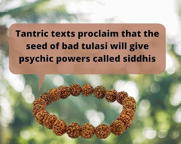 Rudraksh Mala, Natural Himalayan Genuine Original Rudraksha Rosary - style: Rudraksh Jaap mala 8-9MM