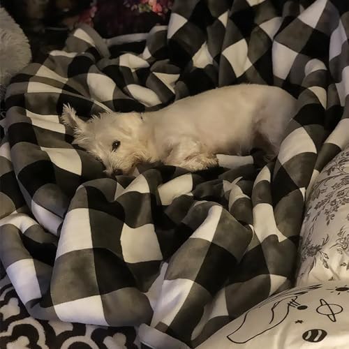 Buffalo Check Sherpa Throw 80'' x 60''- Soft Plush Flannel Blanket Throws for Bed/Couch/Sofa/Office/Camping - color: A-black/White Plaid, size: 60''x80''