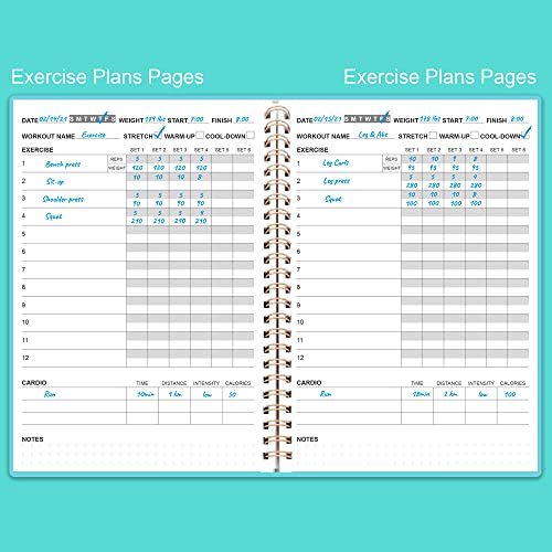 Fitness Planner for Women & Men - A5 Workout Log Book/Exercise Log to Track Weight Loss, Gym, Bodybuilding Progress - Daily Health & Wellness Journal, 5.8X8.25 In Workout Book - style: Teal