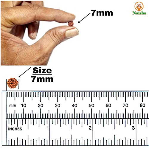 NAISHA Rudraksha Stretchable Bracelet & Rudraksha Mala 108+1 Beads Necklace 5 mukhi Paanch mukhi 5 face, Prayer Beads, Wrist Mala Wrap, Jaap Mala, Bracelet Bead Size 7 mm (Pack of 2)