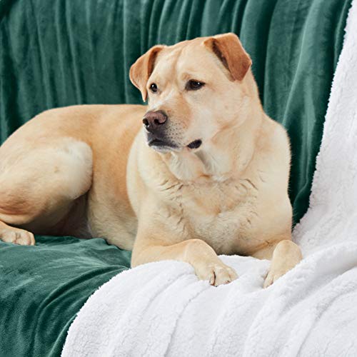 Sherpa Throw Blanket Super Soft Reversible Ultra Luxurious Plush Blanket, 50 x 60 inches, Hunter Green/White - color: Hunter Green / White, size: Throw (50" x 60")