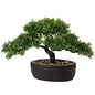 Artificial Bonsai Tree Juniper Faux Plants Indoor Small Fake Plants Decor with Ceramic Pots for Home Table Office Desk Bathroom Shelf Bedroom Living Room Farmhouse Decorations - style: 9" Ficus