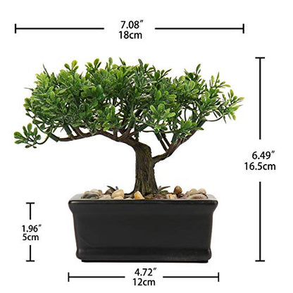 Artificial Bonsai Tree Juniper Faux Plants Indoor Small Fake Plants Decor with Ceramic Pots for Home Table Office Desk Bathroom Shelf Bedroom Living Room Farmhouse Decorations - style: 6" Ficus