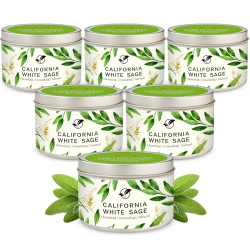 Sage Candles Gift Set, 6-Pack 6oz Natural Soy Wax Aromatherapy Candles, Clean Burn & Lead-Free Cotton Wicks, Calming Scents for Spiritual Meditation, Housewarming Birthday Self Care Gifts for Women - style: Sage Candles - 6 Pack