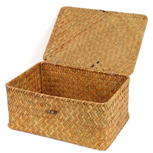 FEIALNDUO Wicker Shelf Baskets with Lid,Seagrass Storage Basket Bins Rectangular Handwoven Basket Boxes for Shelves Desktop Home Organizer (Natural, Large) - color: Natural, size: Large