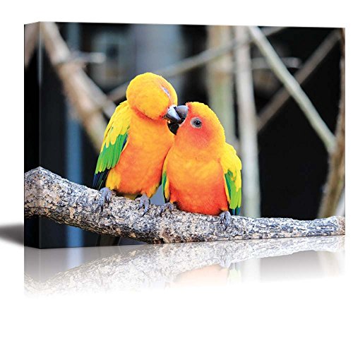 Canvas Prints Wall Art - Colorful Parrot Bird Kissing on The Perch Romantic Concept | Modern Wall Decor/Home Decoration Stretched Gallery Canvas Wrap Giclee Print & Ready to Hang - 12" x 18" - color: Parrot, size: 18"L x 12"W