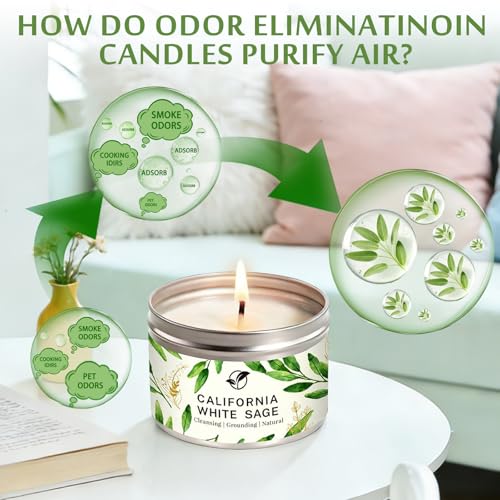 Sage Candles Gift Set, 6-Pack 6oz Natural Soy Wax Aromatherapy Candles, Clean Burn & Lead-Free Cotton Wicks, Calming Scents for Spiritual Meditation, Housewarming Birthday Self Care Gifts for Women - style: Sage Candles - 6 Pack