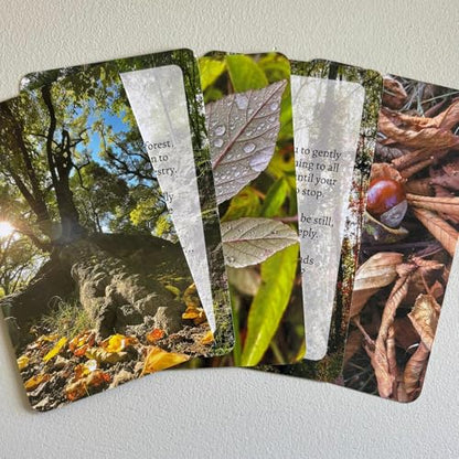 Forest Bathing Self-Guided Nature Immersion Cards | 53 Practices for Stress Relief, Relaxation & Well-Being – A Mindful Nature Gift | by Dr. Adriana Copeland