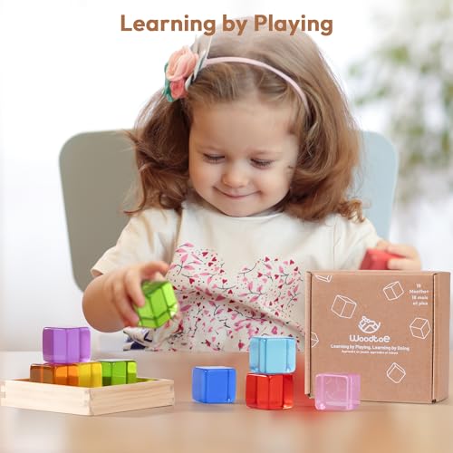 Woodtoe Large Building Blocks for Toddlers, Montessori Toys for 1 2 3 Year Old Boy Girl, No Choking Hazard Toys for Age 2-4 Kids Baby, Rainbow Acrylic Block Set, Sensory Birthday Toy Gifts for Kid - style: 9 PCS Large Acrylic Blocks Set