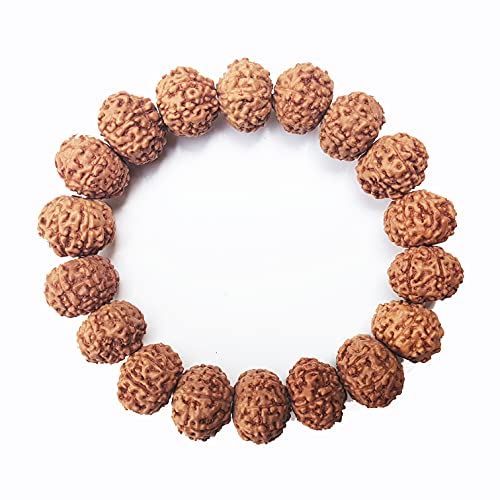 Rudraksha Bracelet for Men & Women's 2 Face, 3 Mukhi, 4 Mukhi, 5 Face, 6 Mukhi, 7 Mukhi, 8 Mukhi, 9 Mukhi, 10 Mukhi, 11 Mukhi Himalayan Rudraksha Beads Wrist Band for Yoga, Meditation, Healing - style: 8 Mukhi - Eight Faced