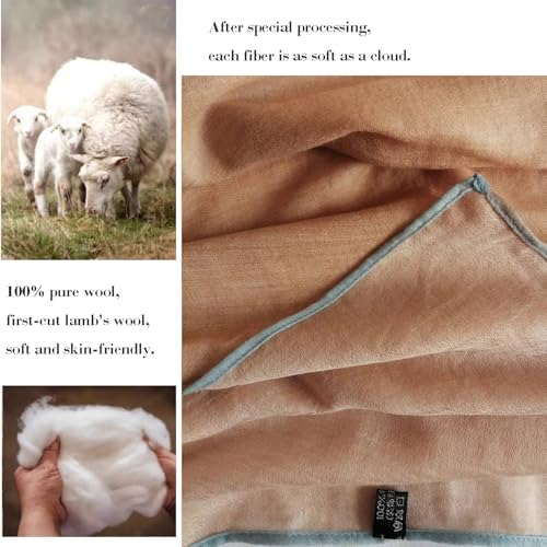 Luxury Cashmere Pashmina Style Shawl - Silk & Wool Blend Scarf, Lightweight Skin-Friendly Wrap - color: Camel