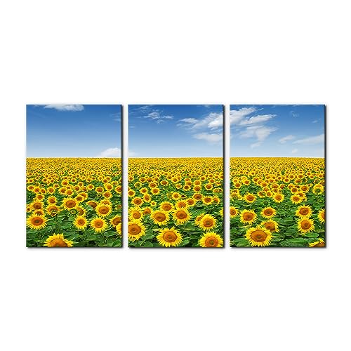 Pacimo Yellow Flowers Canvas Wall Art Print Sunflower Field Landscape Painting Wall Decor for Living Room Home Decoration Nature Gallery Wrapped Posters and Prints Ideal Gifts - 16" x 24" x 3 Panels - color: Wallart-08, size: 16" x 24" x 3 panels