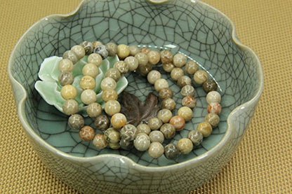 Amandastone Natural Gemstone 8mm Round Beads Stretch Bracelet 7 Inch - color: Coral Fossil