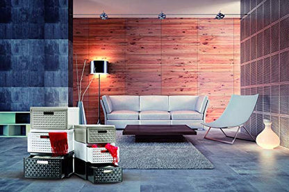 Rotho Country Box 8.3l with 1 Drawer in Rattan-Look, Plastic (PP) BPA-Free, Anthracite, Klein/8,3l (35,0 x 26,0 x 14,5 cm) - size: klein/8,3l (35,0 x 26,0 x 14,5 cm)