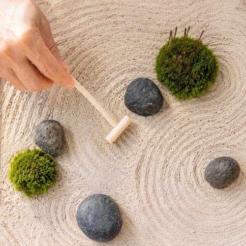1.6T Corten Steel Korean Zen Garden Decorative Object for Mindful Living (S)