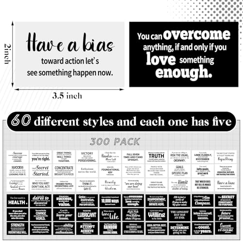Jinei 300 Inspirational Affirmation Cards Bulk Daily Positive Motivational Gifts Cards Small Mini Encouragement Quotes for Women Coworker Team(Famous Quotes) - style: Famous Quotes