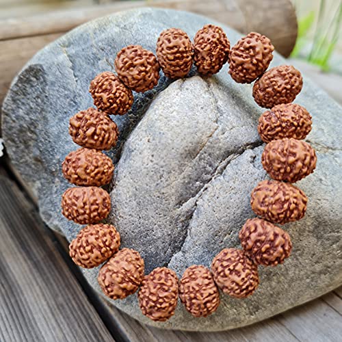 Rudraksha Bracelet for Men & Women's 2 Face, 3 Mukhi, 4 Mukhi, 5 Face, 6 Mukhi, 7 Mukhi, 8 Mukhi, 9 Mukhi, 10 Mukhi, 11 Mukhi Himalayan Rudraksha Beads Wrist Band for Yoga, Meditation, Healing - style: 7 Mukhi - Seven Faced