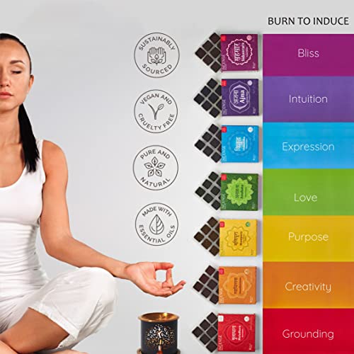 7 Chakra Incense Brick Super Set by Aromafume | 63 Bricks & Tree of Life Exotic Burner | Smokeless Incense Set for Chakra Balance | Yoga & Meditation Gifts | Incense Kit for Plexus, Root & More - color: Chakra Value Set