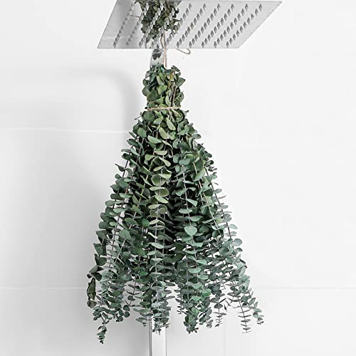 12 Pcs Eucalyptus for Shower Hanging 17" Real Eucalyptus Stems 100% Made from Fresh Leaves , Used for Wedding Decor Home Decor Farmhouse Decor. Dried Flowers - size: 12 Pcs
