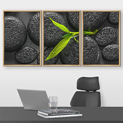 wall26 - Framed Canvas Bamboo Branch on Zen Stone - Canvas Art Wall Art - 16"x24"x3 Natural - color: Artwork - D762, size: 16" x 24" x 3 Panels NATURAL