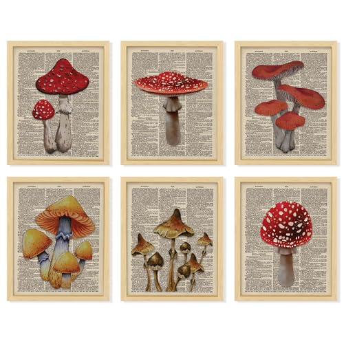 97 Decor Vintage Mushroom Poster - Mushroom Wall Decor, Retro Mushrooms Wall Art Prints, Cottagecore Room Decor Aesthetic, Earthy Dictionary Mushrooms Picture for Home Bedroom (8x10 UNFRAMED) - color: Vintage Mushroom Poster
