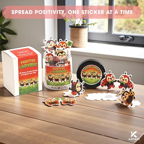 Positive Ladybug Jar with 60 Affirmation Cards, Good Luck Gifts for Women, Friends, Coworkers & Sister, Cheer Up Encouragement Cards, Mother’s Day Gift Idea - color: KAT-k- Positive ladybug