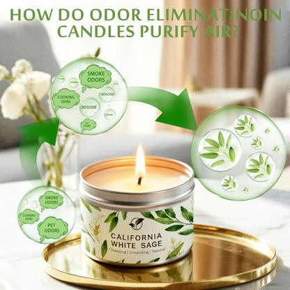 Sage Candles for Cleansing, Pure White Sage Candle 6 OZ- 35 Hour Burn Time, Aromatherapy Candle for Cleansing House Negative Energy Smudge Kit, Spiritual Meditation Housewarming Gifts - style: Pure Sage